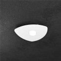 TOP LIGHT CEILING LAMP SHAPE 1143/1