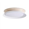 LAMPADA DA SOFFITTO TENDER LED FB