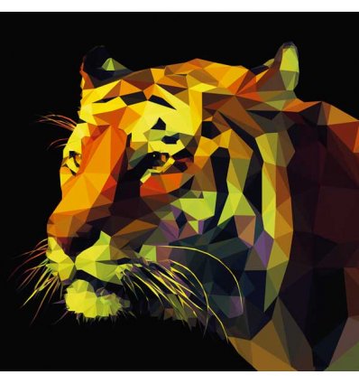 PINTDECOR QUADRO ABSTRACT TIGER