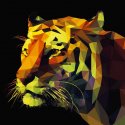 PINTDECOR QUADRO ABSTRACT TIGER