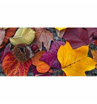 PINTDECOR QUADRO AUTUNNO