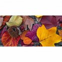 PINTDECOR QUADRO AUTUNNO