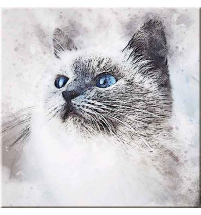 PINTDECOR QUADRO GATTINO