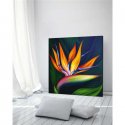 PINTDECOR QUADRO STRELITZIA