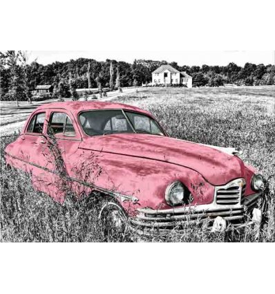 PINTDECOR QUADRO L'AUTO ROSA