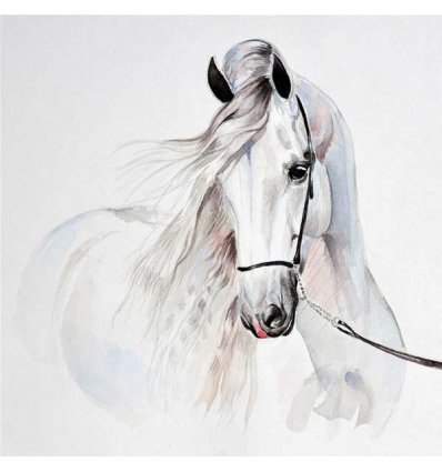 PINTDECOR QUADRO CAVALLO BIANCO