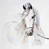 PINTDECOR QUADRO CAVALLO BIANCO