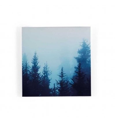 QUADRO MODERNO FOREST