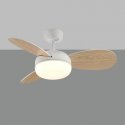 ACB CEILING FAN WITH LED LIGHT BISE