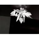 SELENE WALL/CEILING LAMP GINGER